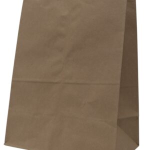 A plain brown paper bag standing upright.