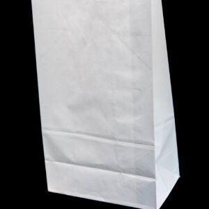 A plain white paper bag standing upright.